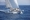 Elton Trident Sailing yacht at sea