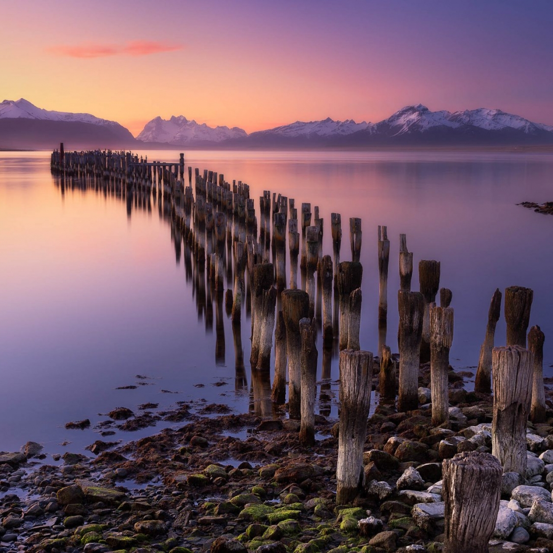 Patagonia