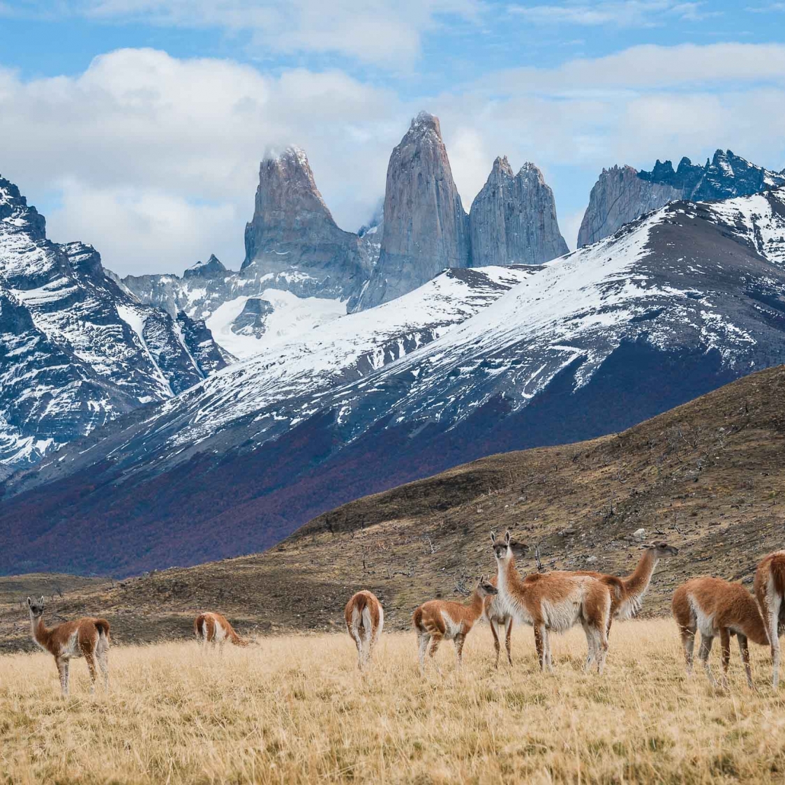Patagonia