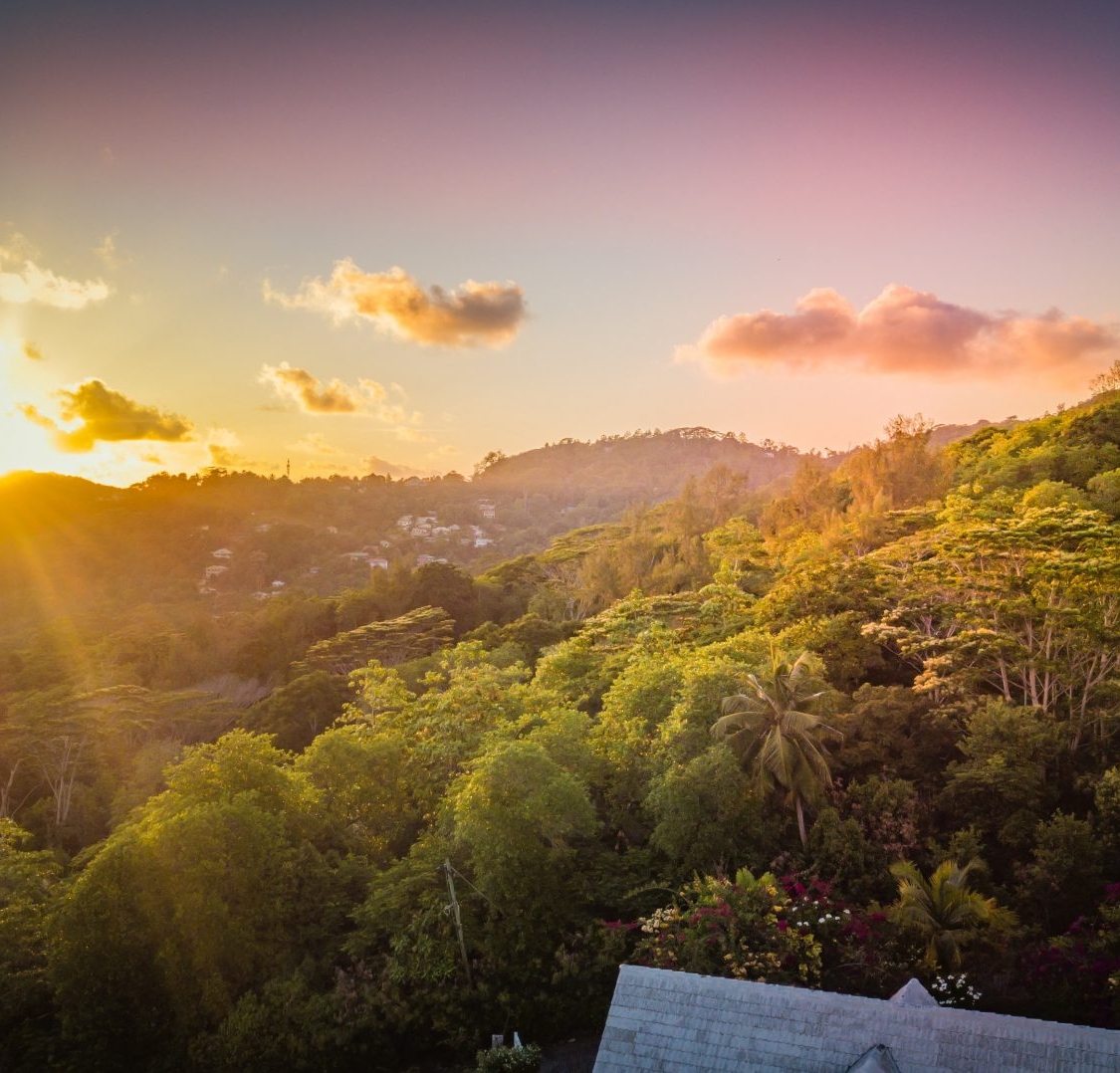 The Seychelles