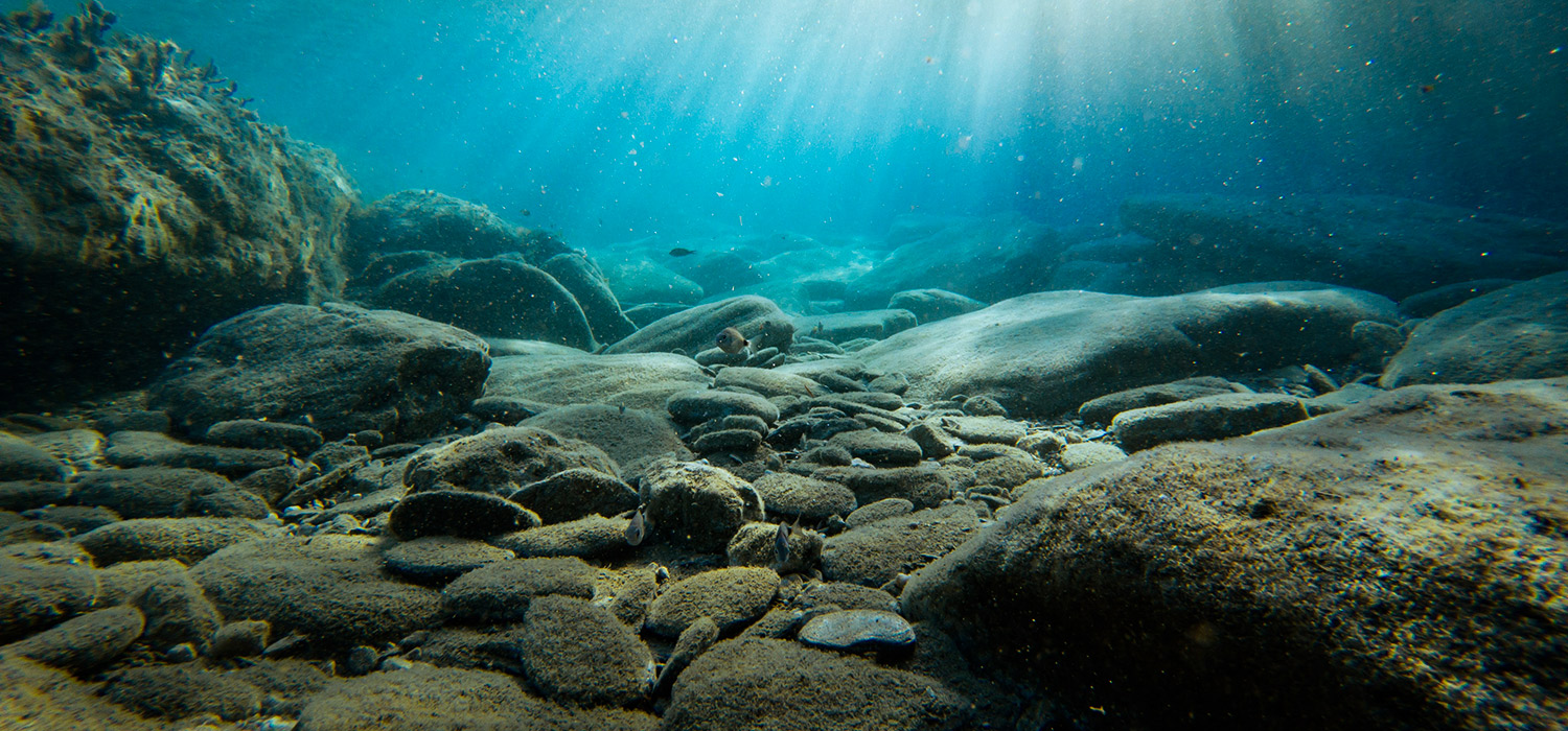 Discover Antartica by Superyacht and visit the ocean floors by Submersible