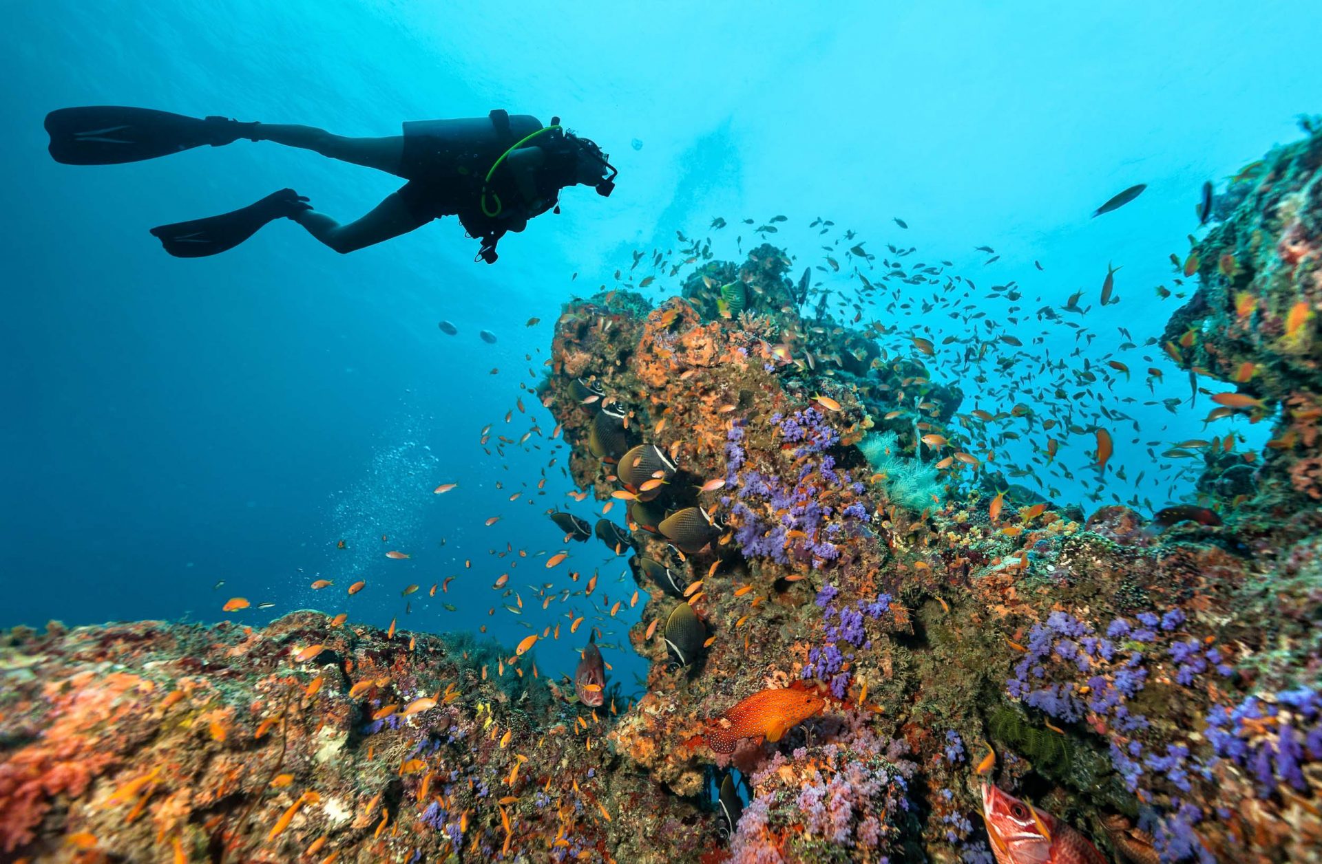 The Maldives – Northern Atolls