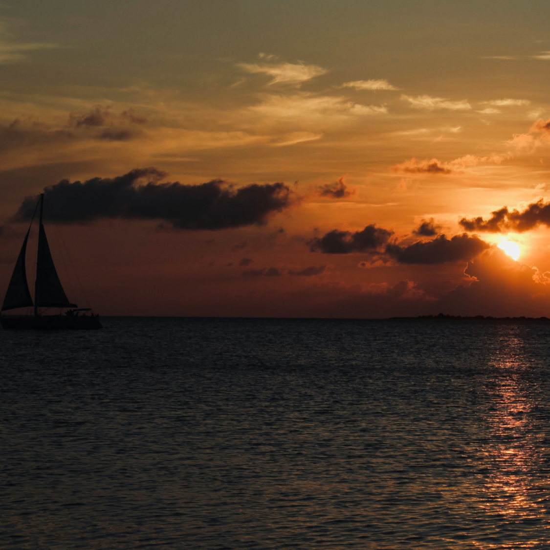 Caribbean Spotlight: From Hidden Coves to Glamorous Shores